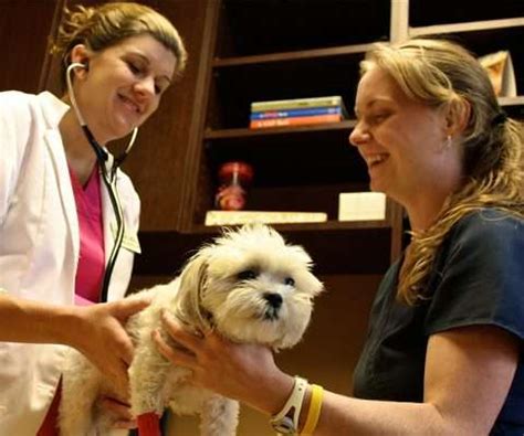 10 Tips From Dr Bryant On Veterinary Care Veterinarians In Canton Cherokee Animal Hospital Veterinary Pet Care Vet Near Me