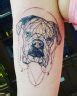 14 Unusual Dog Tattoos For Boxer Lovers Petpress