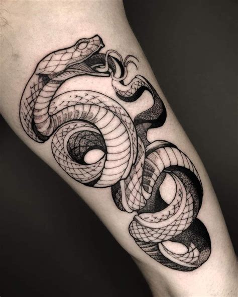 14 Viperid Snake Tattoo Designs And Ideas 14 Viperid Snake Tattoo Designs And Ideas