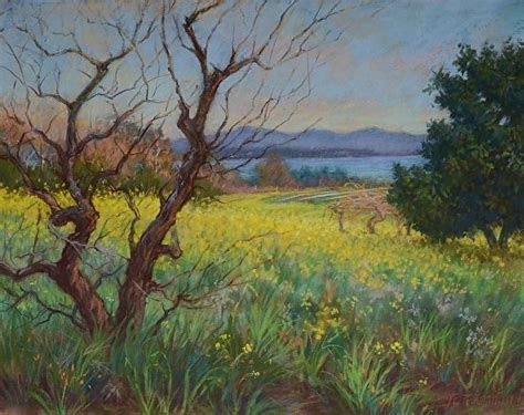 1905 Ucsc Farm February Mustard By Ann Thiermann Pastel 16 X 20 Travel Sketches Farm Painting