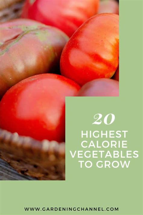20 Highest Calorie Vegetables To Grow Gardening Channel