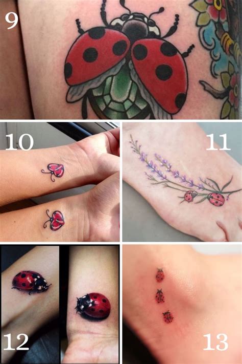 25 Lovely Ladybug Tattoo Ideas For Men Amp Women In 2024 Lady Bug Tattoo Bug Tattoo Tattoos