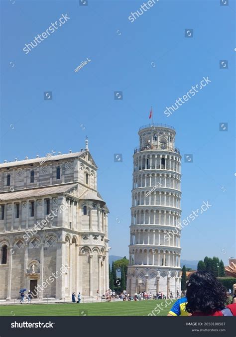 258 Ribu Ilustrasi Foto Stok Dan Gambar Acorn Tanpa Royalti Shutterstock