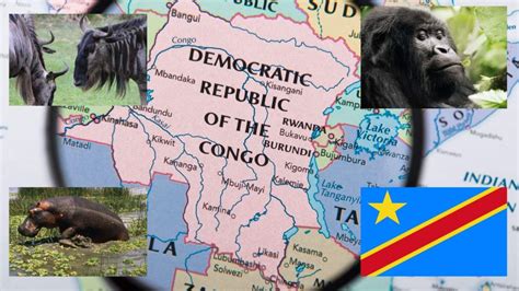 31 Interesting Facts About The Democratic Republic Of Congo The Facts Institute
