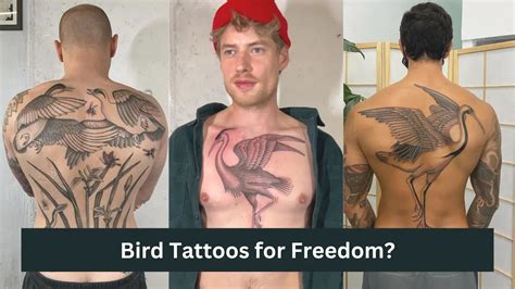 40 Bird Tattoos For Men Represent Power Peace Freedom Men Deserve