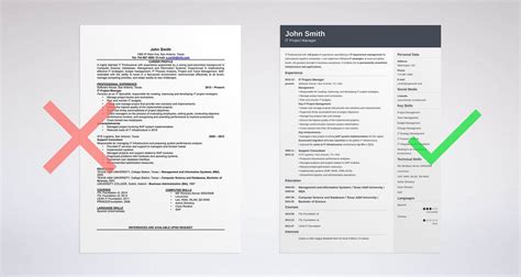 5 Best Resume Formats With Examples For 2024