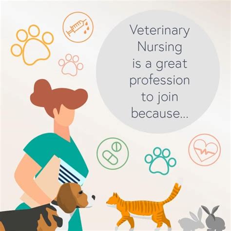 5 Tips For A Career In Veterinary Nursing