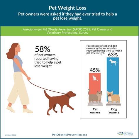 5 Tips For Pet Weight Loss The New Year Is The Perfect Time To Reset Habits And That Includes Your Pet S Waistline If A Few Extra Treats Or Quieter Months Have