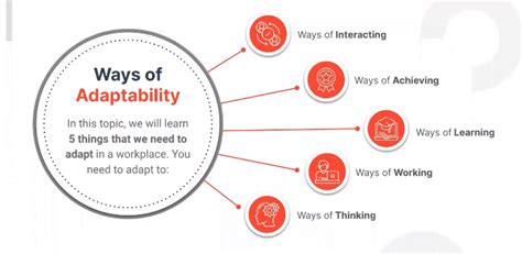 5 Ways Of Adaptability