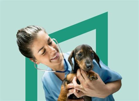5 Ways To Earn More Money As A Vet Tech Penn Foster