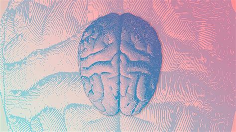 5 Ways To Train Your Brain To Be More Open Minded