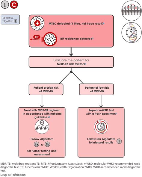 6 3 Algorithm 1 Wrds As Initial Diagnostic Tests For Tb Tb Knowledge Sharing