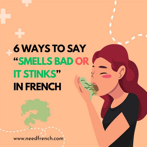 6 Ways To Say Amp Quot It Stinks Amp Quot In French Needfrench
