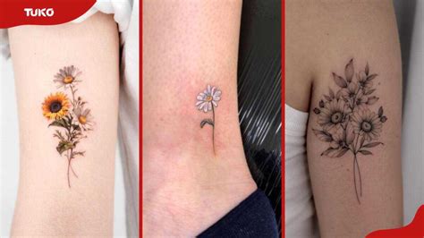 60 Best Daisy Tattoo Designs And Their Meanings In 2024 Tuko Co Ke