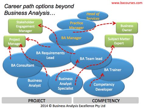 7 Business Analysis Career Path Options And Opportunities For It And Management Professionals Sandhya Jane 7 Business Analysis Career Path Options And Opportunities For It And Management Professionals Sandhya Jane