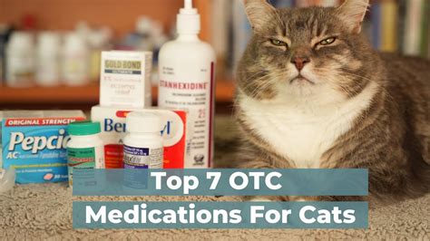 7 Otc Human Medications Safe And Effective For Cats Catgift Shop