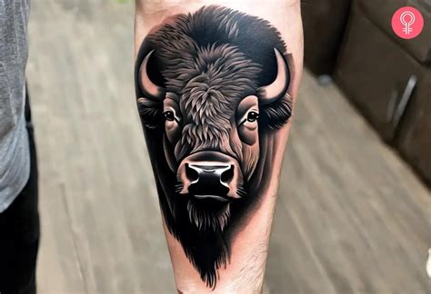 8 Buffalo Tattoo Ideas Buffalo Tattoo Bison Tattoo Tattoos 8 Buffalo Tattoo Ideas Buffalo Tattoo Bison Tattoo Tattoos