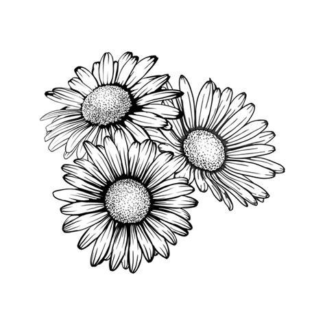 9 Thousand Daisy Tattoo Design Royalty Free Images Stock Photos Pictures Shutterstock