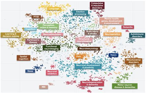 9 Ways Data Science Can Accelerate Your Social Impact Work Submittable Blog Submittable 9 Ways Data Science Can Accelerate Your Social Impact Work Submittable Blog Submittable
