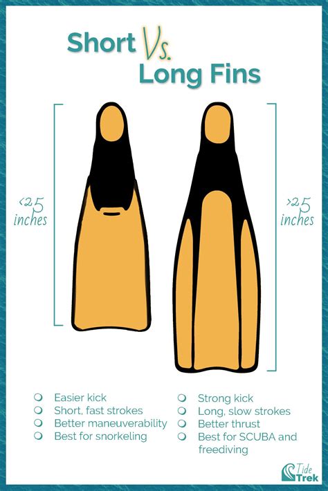 A Beginner S Guide To Swimming Fins Long Vs Short Fins And Their Purpose