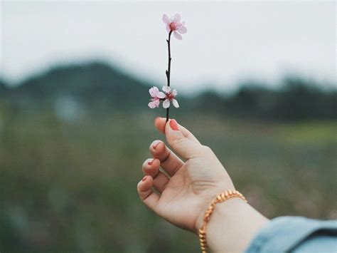 A Guide For Therapists To Enjoy Therapy As The Client Lifespring Counseling Services In Maryland A Guide For Therapists To Enjoy Therapy As The Client Lifespring Counseling Services In Maryland