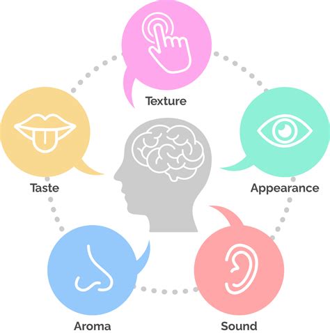 About Smell And Taste Evaluation Center