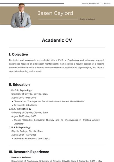 Academic CV Template Example