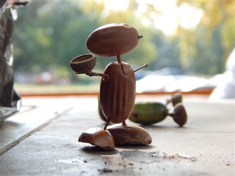 Acorn Alam Hutan Akhir Musim Foto Gratis Di Pixabay