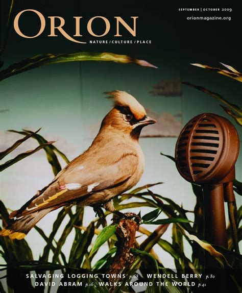 Acorn Bread Orion Magazine
