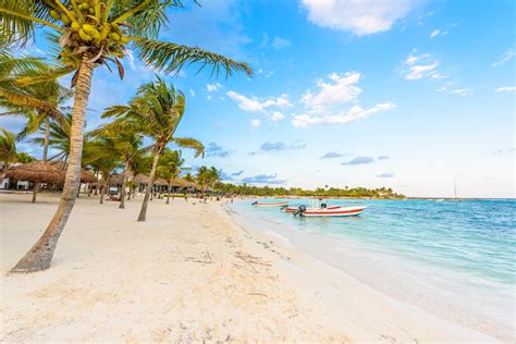 Akumal Beach In Akumal Tours And Activities Expedia Ca