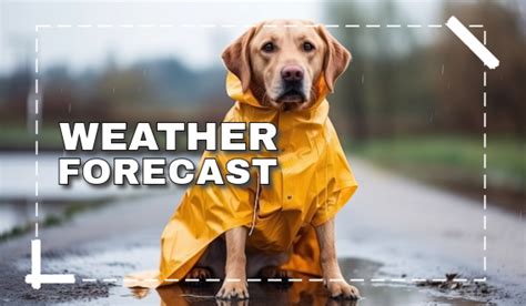 Alert Met Ireann Issues A Brutal Weather Forecast For Next Week Limerick Live