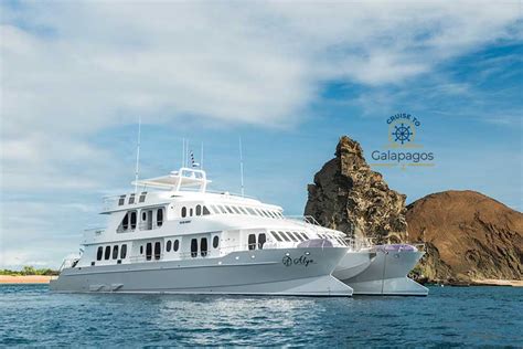 Alya Cruise Ship Galapagos Liveaboard Com