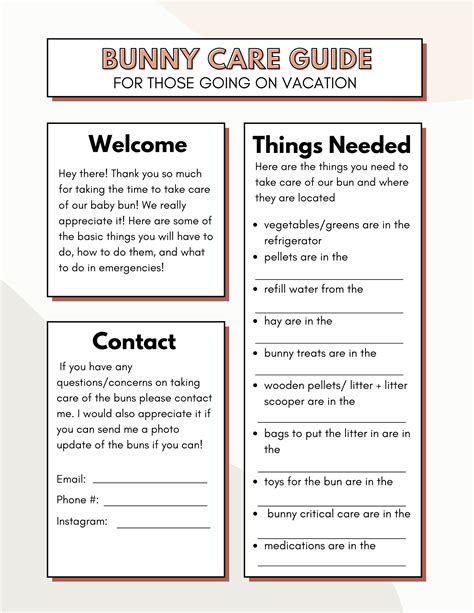 American Bunny Care A Complete Guide American Bunny Care A Complete Guide