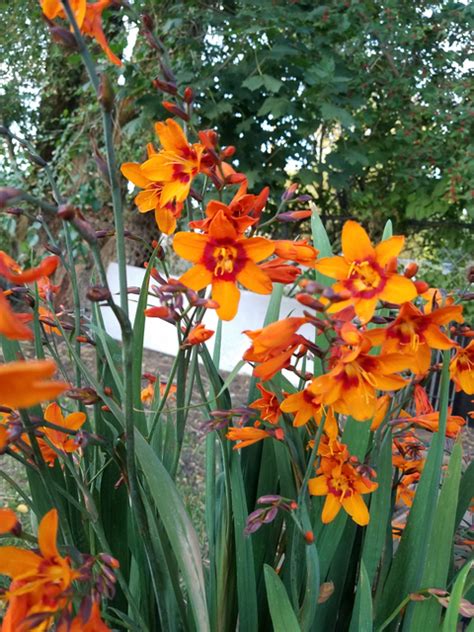 Anna Anna Rea Onlyfans