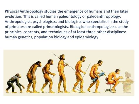 Anthropology Uncovered