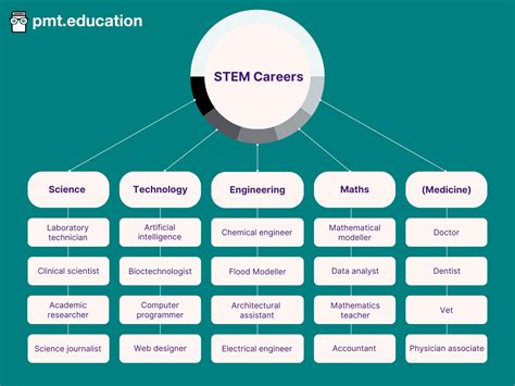 Are You A Stem Major Curious About How To Balance Your Studies And Life Pre Health And Not Sure If This Field Is Right For You A Student Struggling With The Stress Of