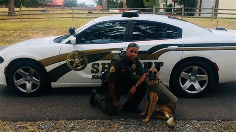 Arkansas Police Officer Fired After Shooting Chihuahua In Video Sheriff Says Fox News