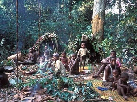 Baka Pygmies Information