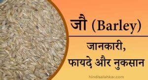 Barley In Hindi Jau Aata Ke Fayde Hindi Salahkar