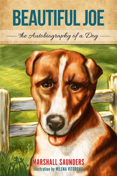 Beautiful Joe An Autobiography Of A Dog Paperback Walmart Com