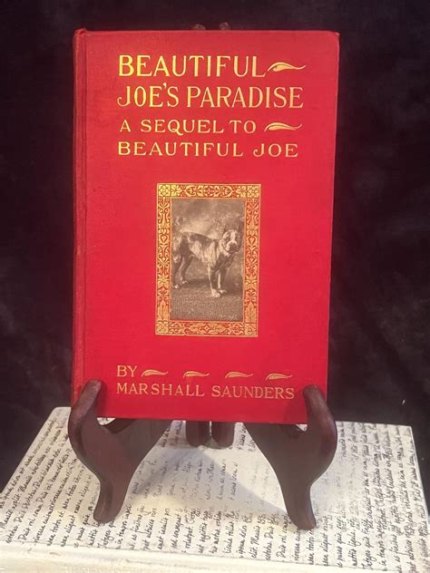 Beautiful Joe By Marshall Saunders A Simple Taste For Reading