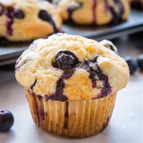 Best Ever Blueberry Muffins Easy Muffin Recipe The Busy Baker Best Ever Blueberry Muffins Easy Muffin Recipe The Busy Baker