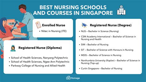 Best Nursing Schools And Courses In Singapore 2024 Homage