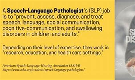 Best Speech Language Pathology Programs In America