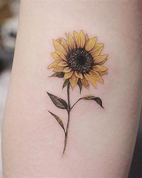 Best Sunflower Tattoo Design Ideas And Meaning Best Sunflower Tattoo Design Ideas And Meaning