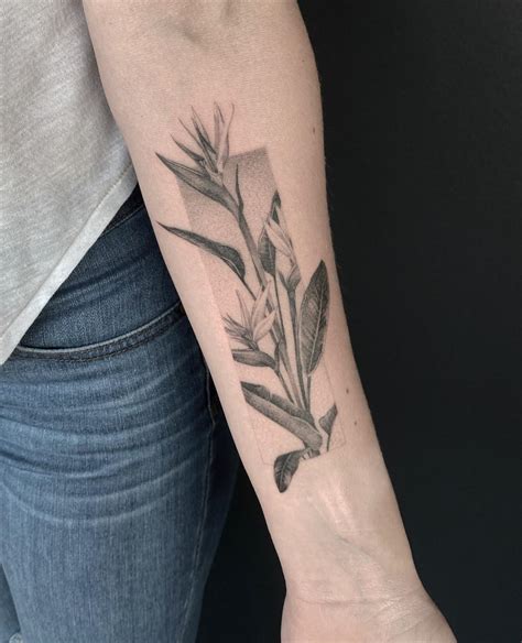 Bird Of Paradise By Jawn Suzuki At All Sacred Tattoo In Denver Co R Tattoos