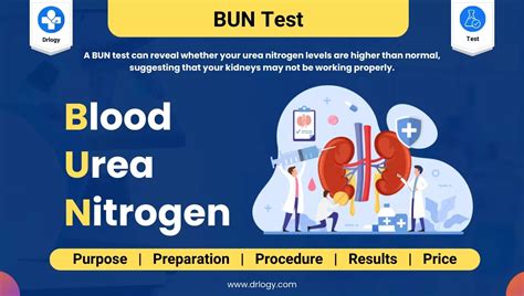 Blood Urea Nitrogen Bun Test Purpose Procedure Nursing Care Guide Studocu Blood Urea Nitrogen Bun Test Purpose Procedure Nursing Care Guide Studocu