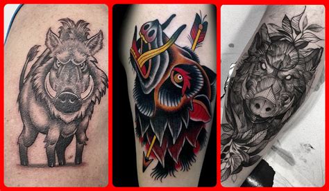 Boar Tattoo Designs Ideas Meanings Images
