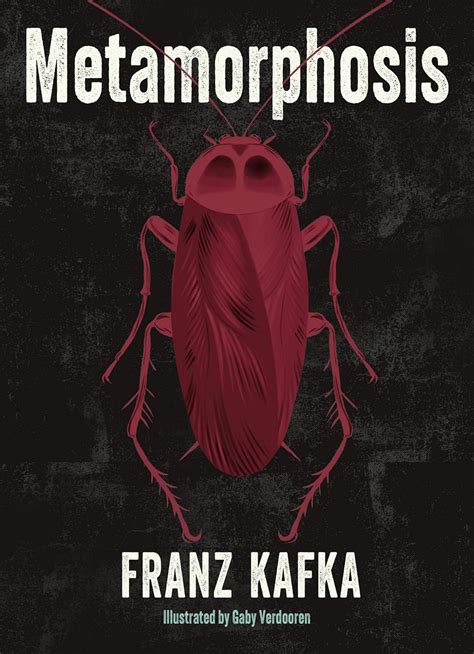 Buy Metamorphosis Illustrated By Gaby Verdooren Book Online At Low Prices In India
