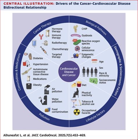 Cancer And Cardiovascular Disease Shared Risk Factors Mechanisms And Clinical Implications Jacc Cardiooncology State Of The Art Review Jacc Cardiooncology